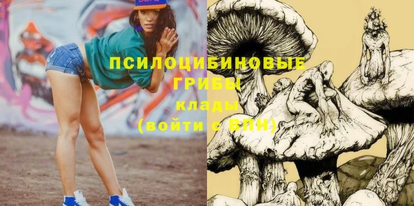 марихуана Абаза